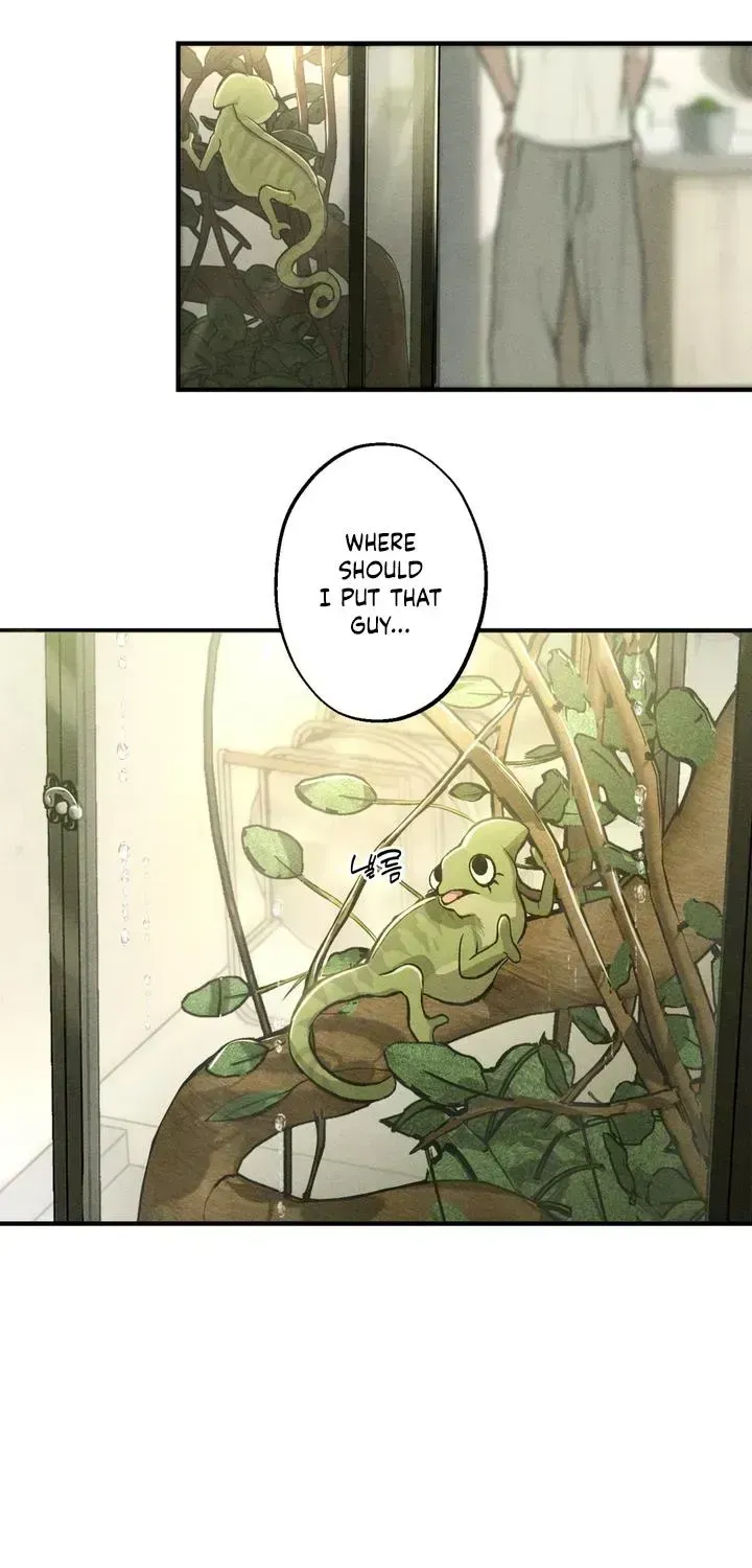Temporarily Fostering a Melon Chapter 1.3 page 65 - 