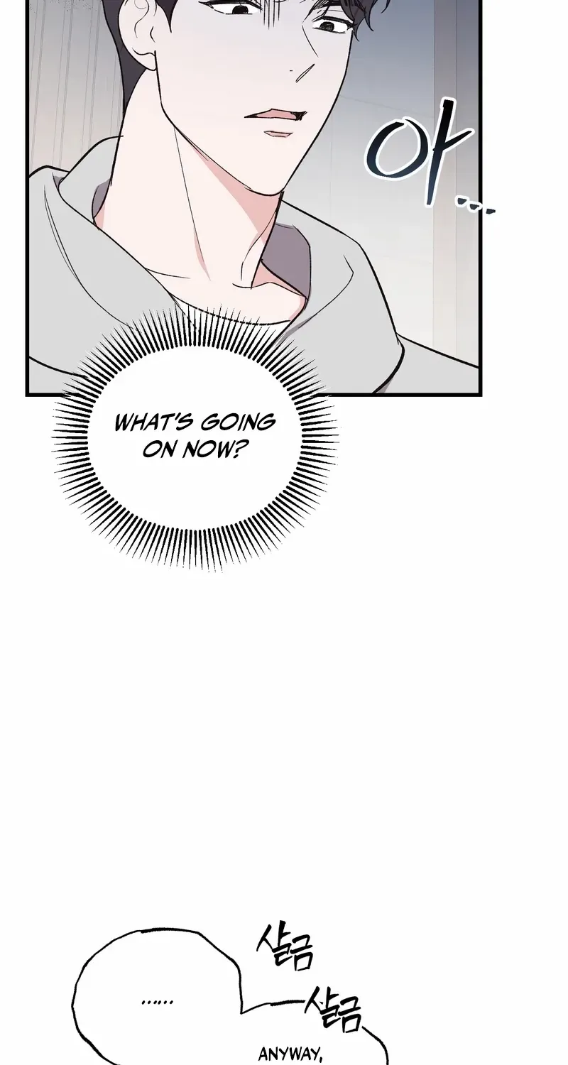 Temporary Love Alert Chapter 2 page 25 - 