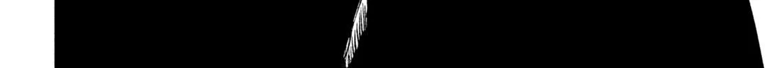 Tenkaichi - Nihon Saikyou Mononofu Ketteisen Chapter 23 page 22 - 