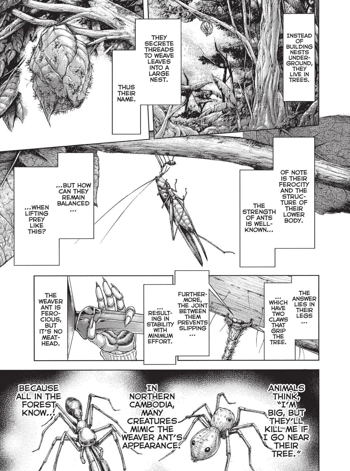 Terra Formars Chapter 208 page 11 - 