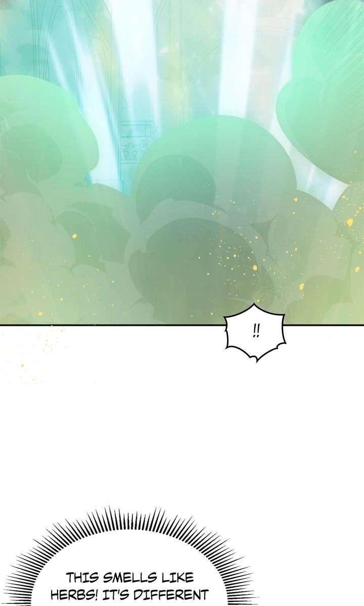 Terrarium Adventure Chapter 104 page 64 - 