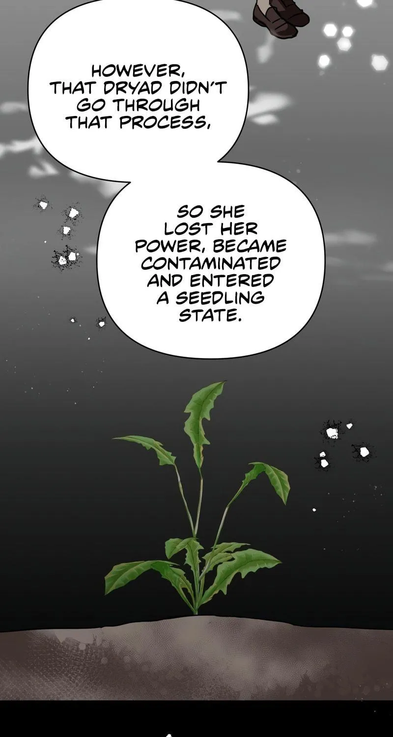 Terrarium Adventure Chapter 12 page 79 - 