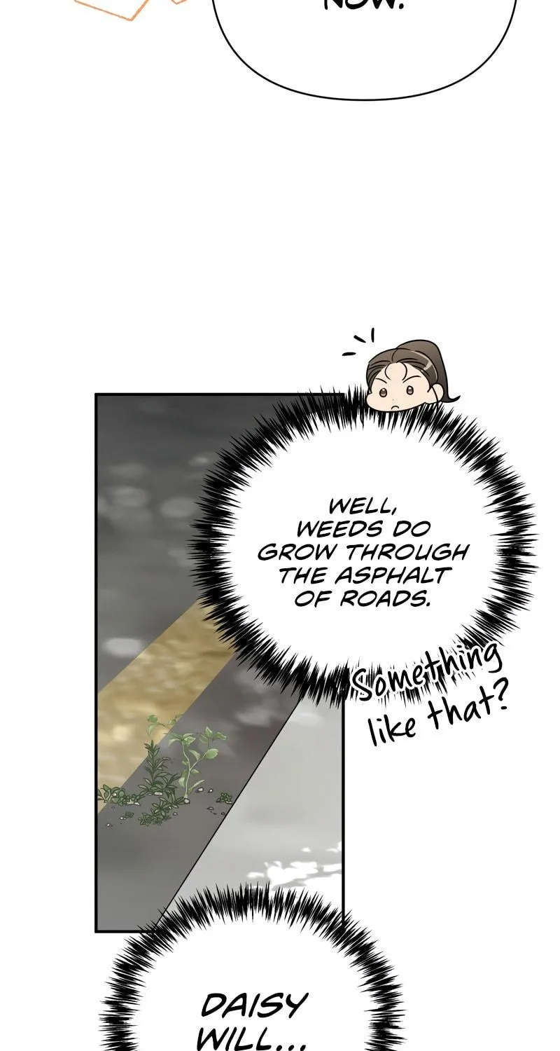Terrarium Adventure Chapter 16 page 25 - 