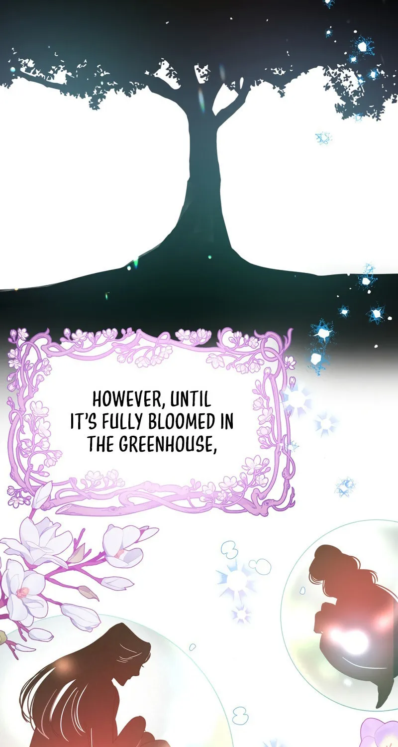 Terrarium Adventure Chapter 6 page 51 - 