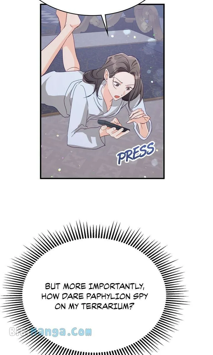 Terrarium Adventure Chapter 68 page 31 - 