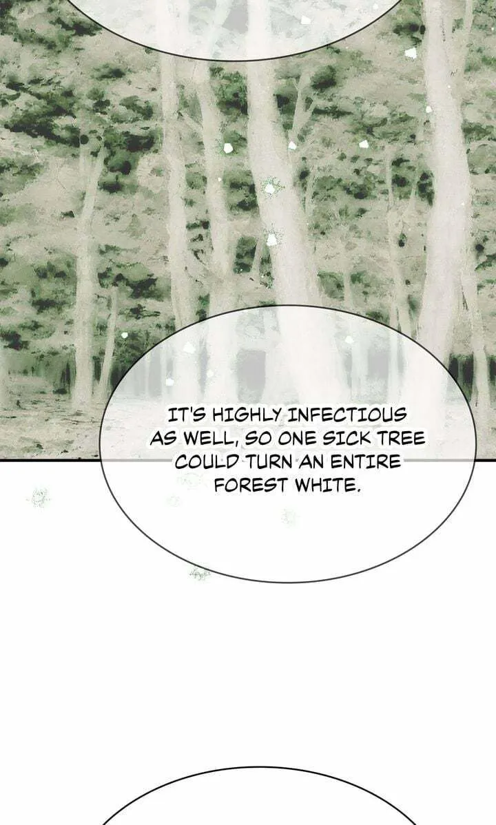 Terrarium Adventure Chapter 69 page 64 - 