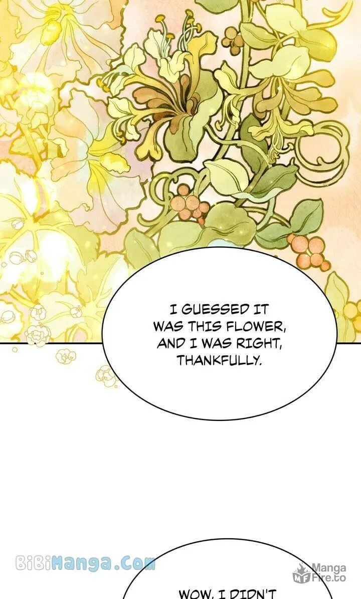 Terrarium Adventure Chapter 70 page 102 - 