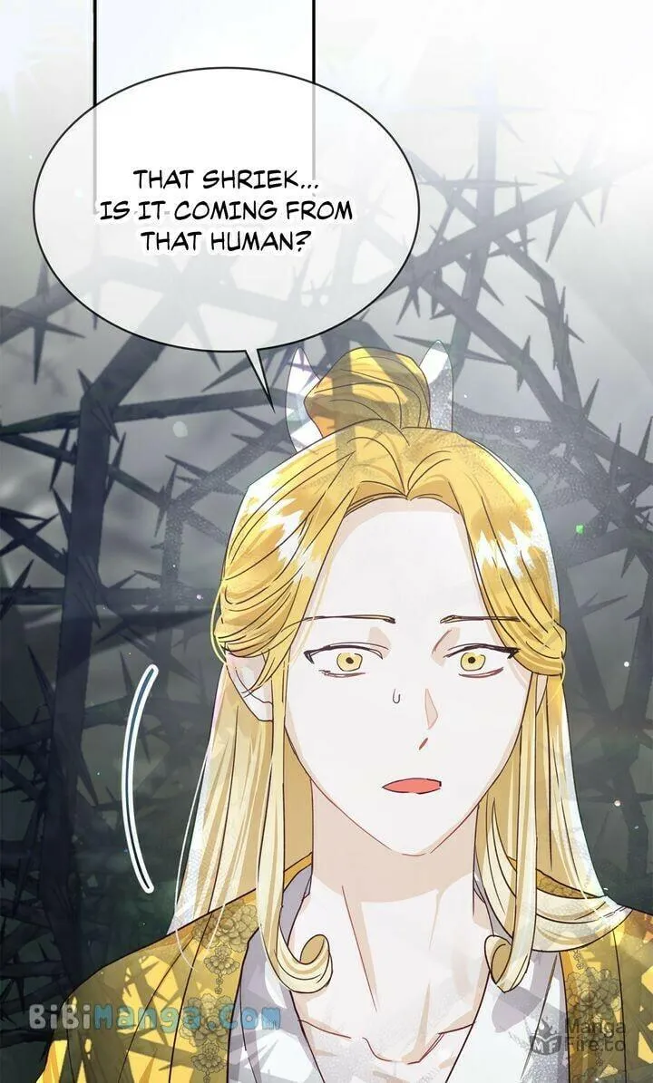 Terrarium Adventure Chapter 71 page 12 - 