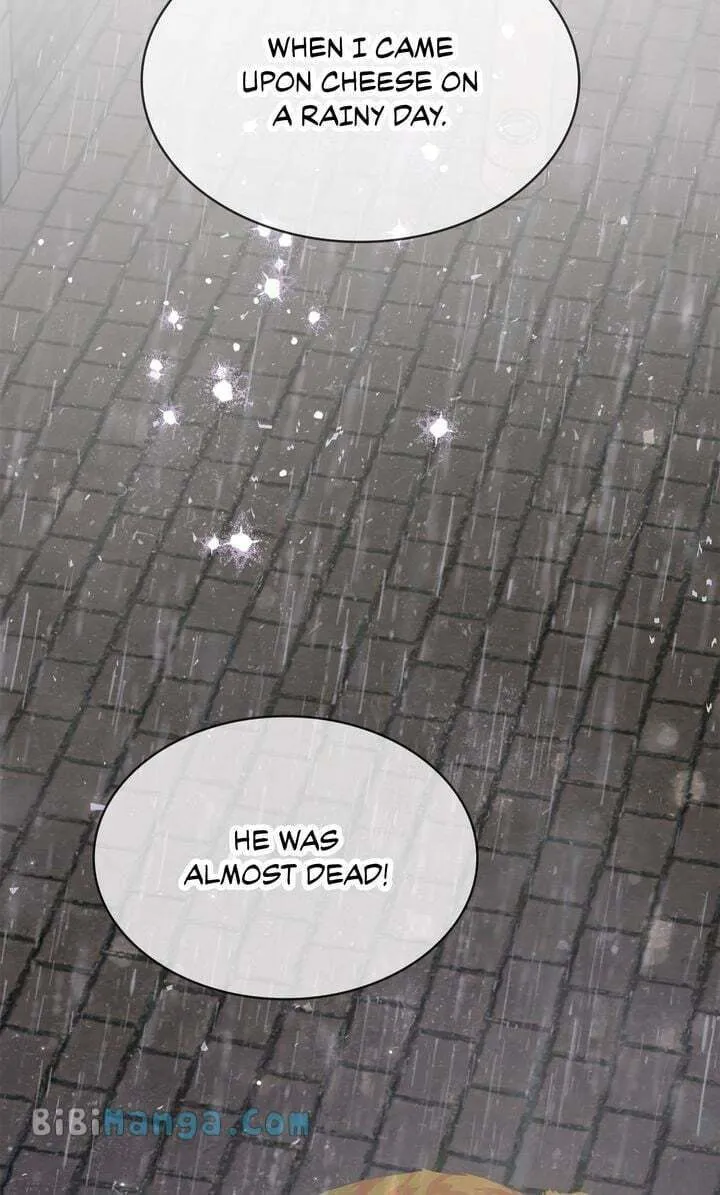 Terrarium Adventure Chapter 71 page 28 - 