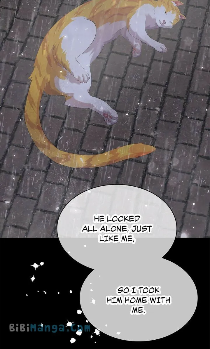 Terrarium Adventure Chapter 71 page 29 - 