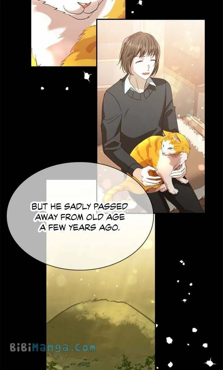 Terrarium Adventure Chapter 71 page 31 - 