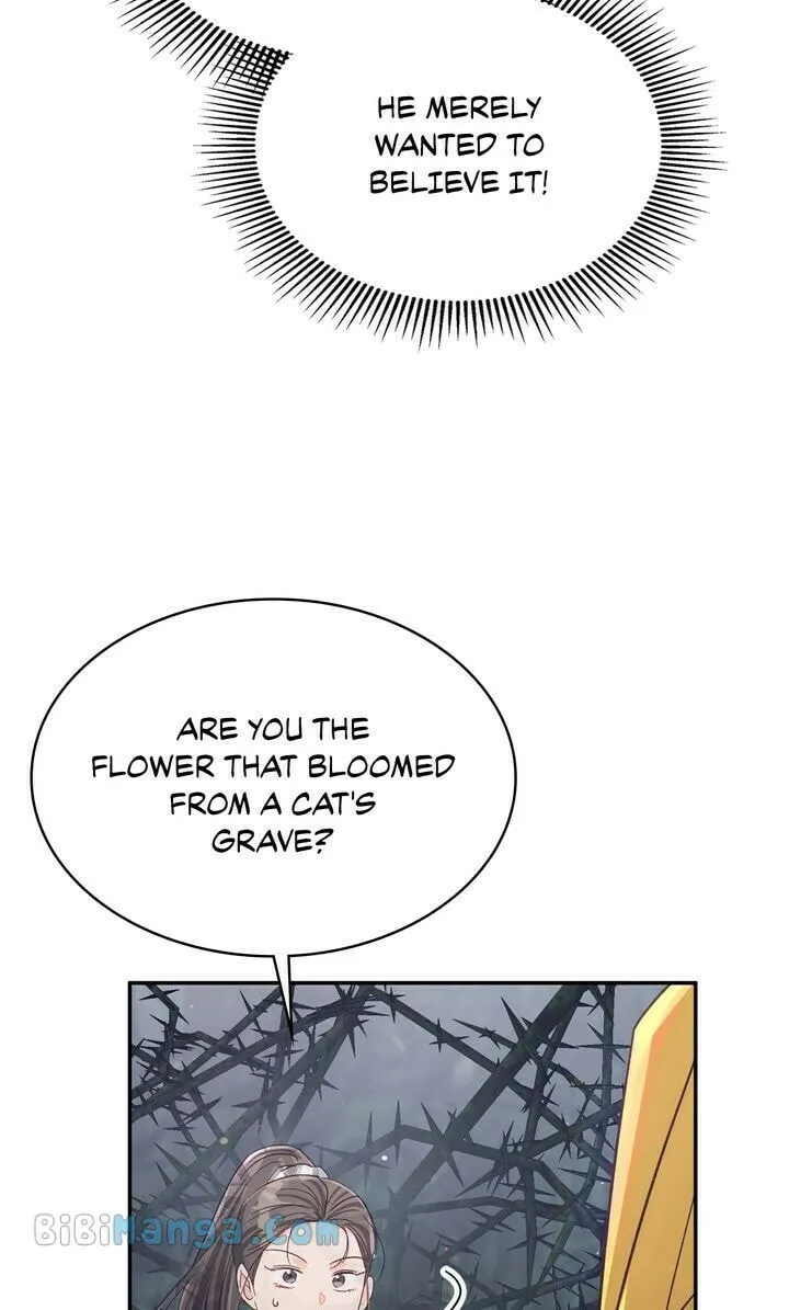 Terrarium Adventure Chapter 71 page 38 - 