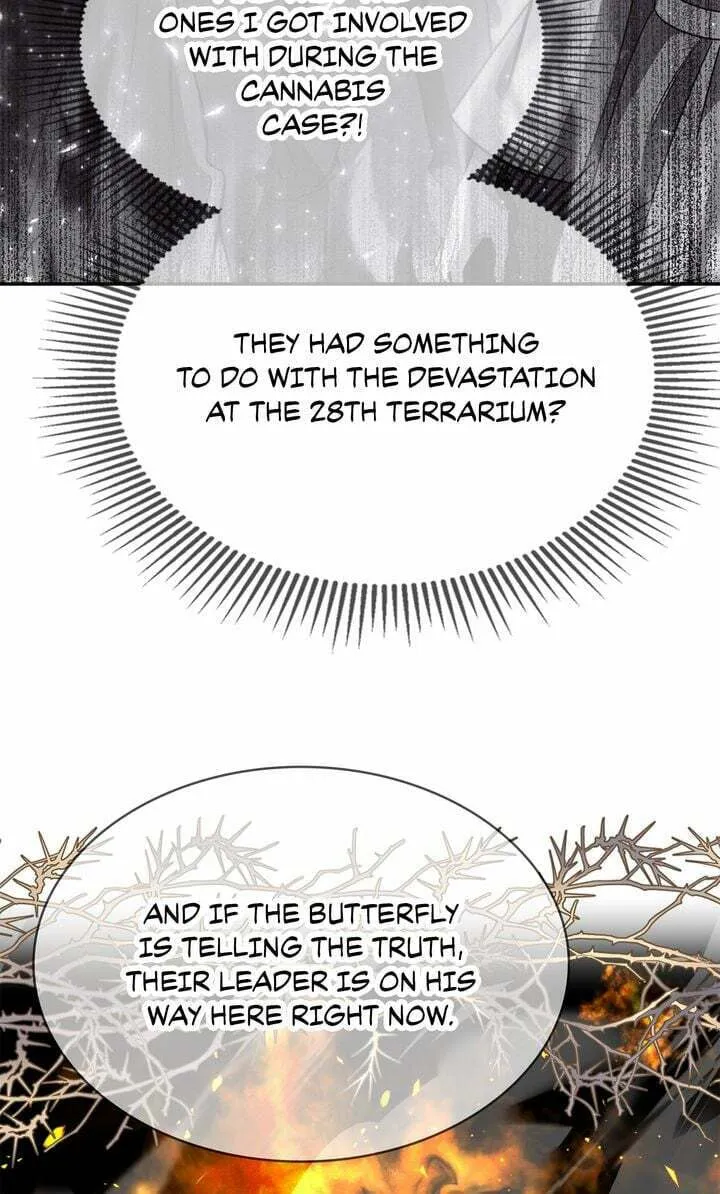 Terrarium Adventure Chapter 74 page 2 - 
