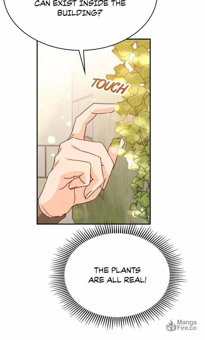 Terrarium Adventure Chapter 74 page 81 - 