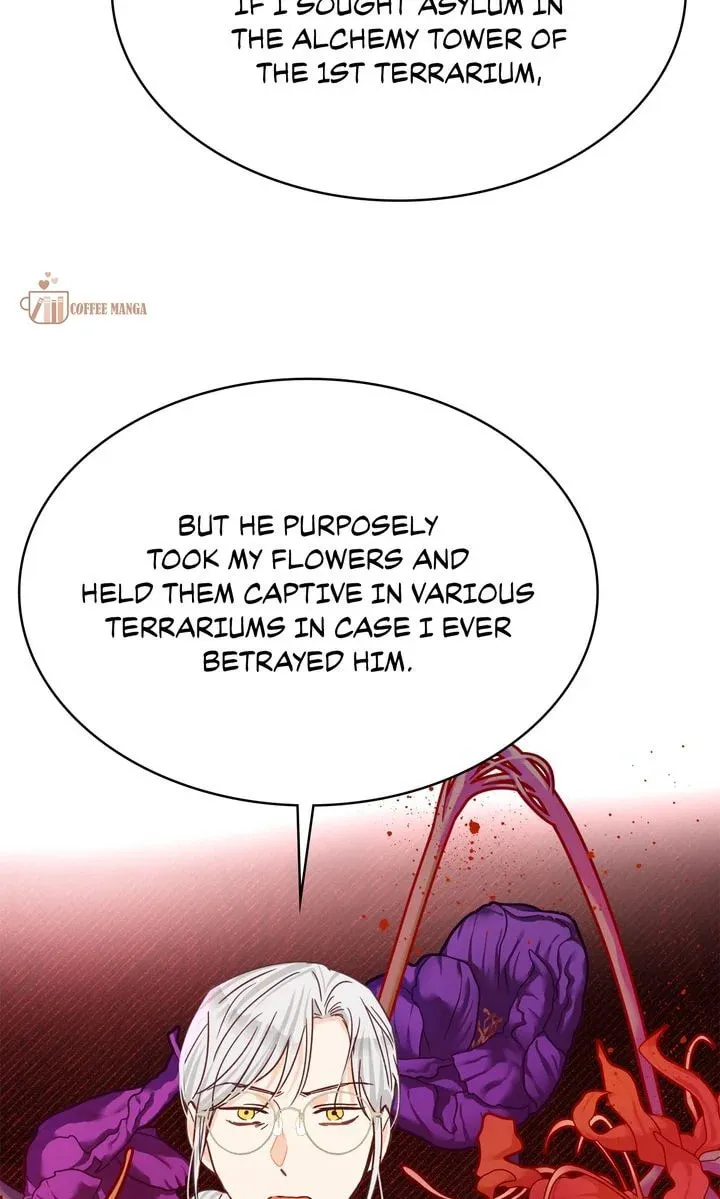 Terrarium Adventure Chapter 75 page 11 - 