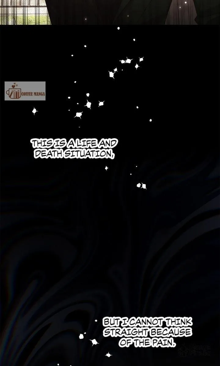 Terrarium Adventure Chapter 76 page 42 - 