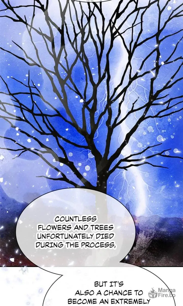 Terrarium Adventure Chapter 78 page 90 - 