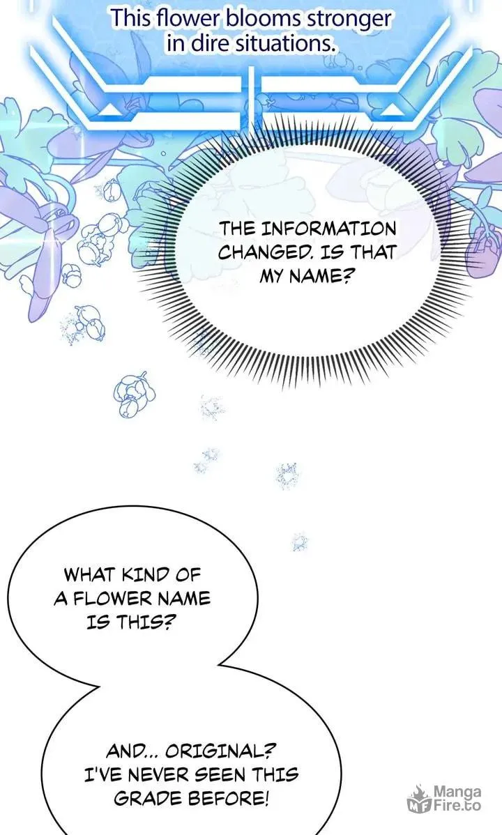 Terrarium Adventure Chapter 80 page 39 - 
