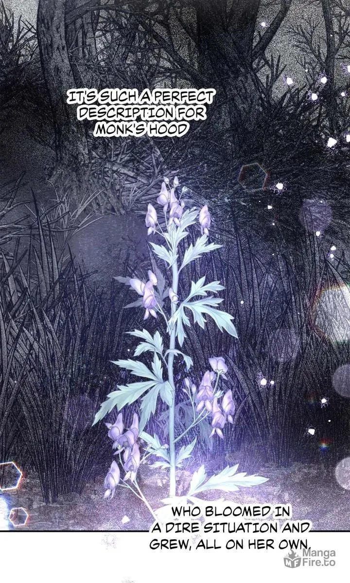 Terrarium Adventure Chapter 80 page 50 - 