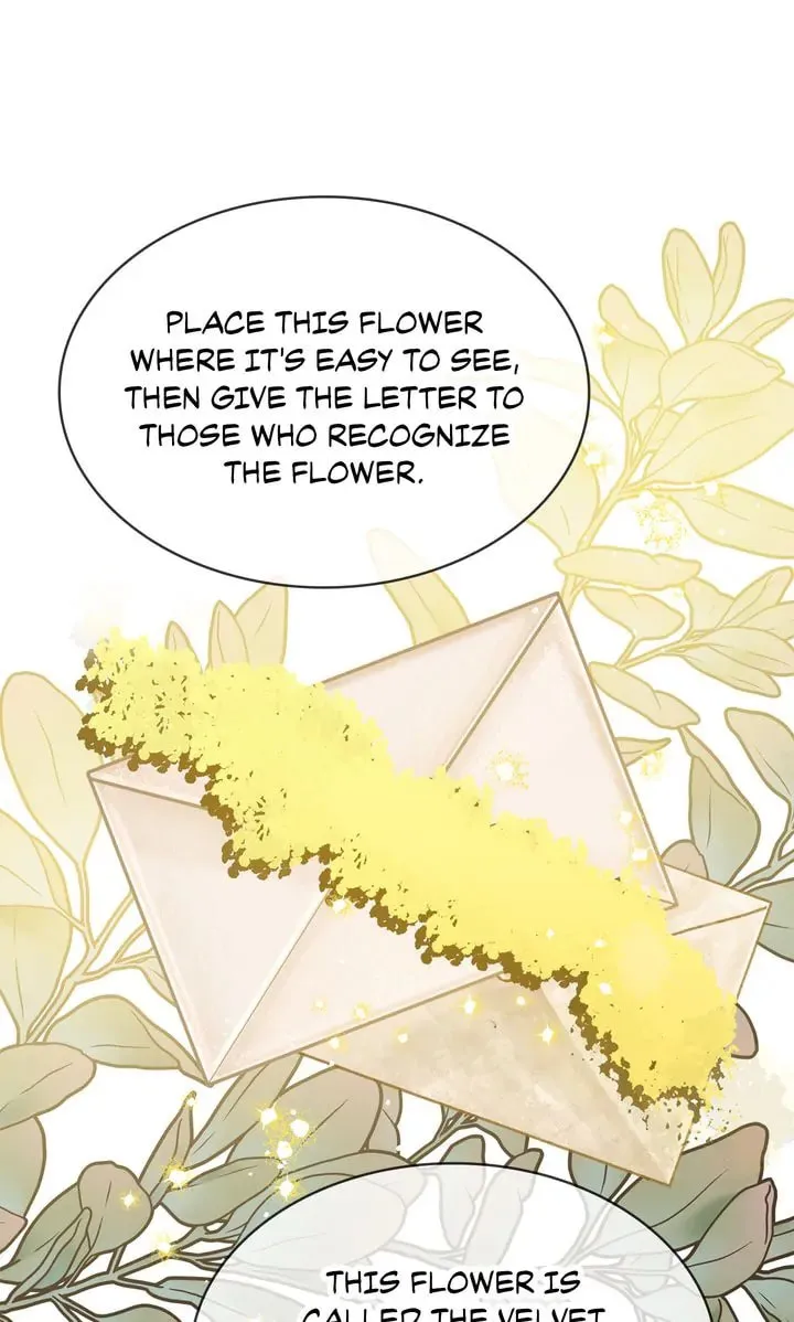 Terrarium Adventure Chapter 83 page 89 - 