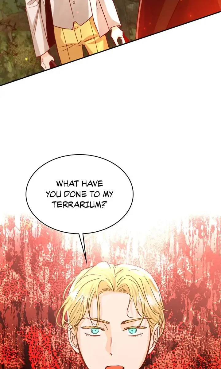 Terrarium Adventure Chapter 85 page 62 - 