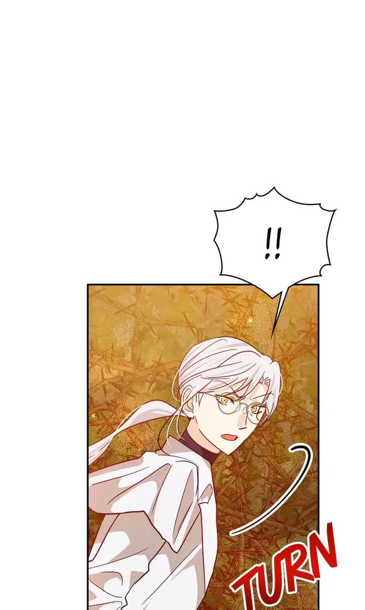 Terrarium Adventure Chapter 87 page 67 - 