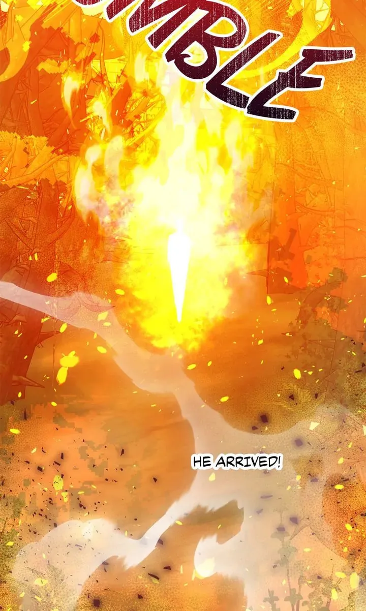 Terrarium Adventure Chapter 87 page 74 - 