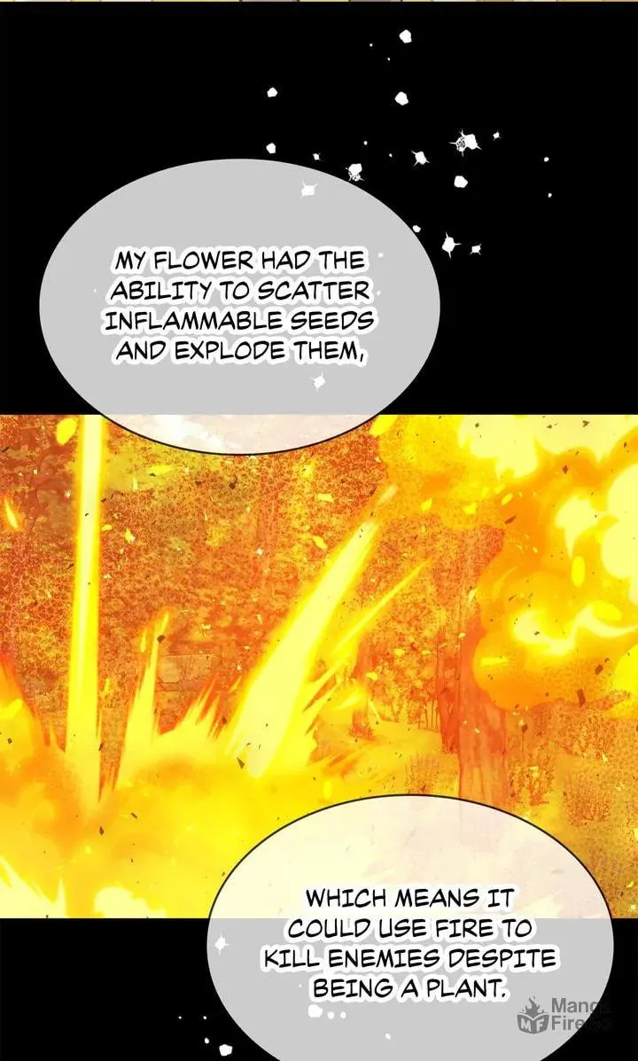 Terrarium Adventure Chapter 89 page 51 - 