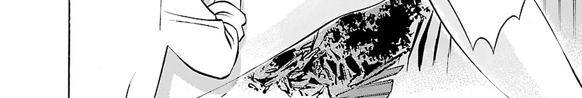 Tetsuwan Birdy Evolution Chapter 102 page 24 - 