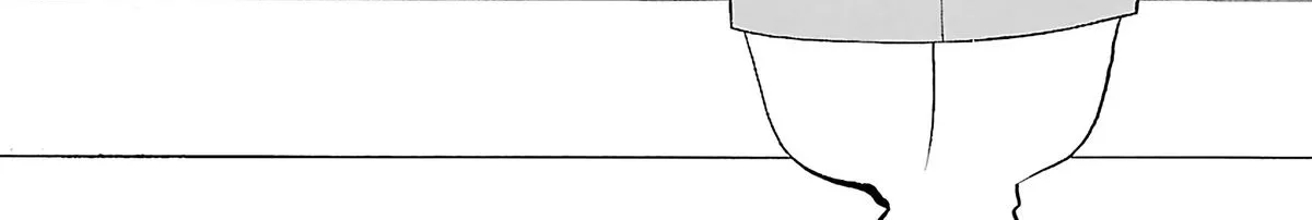 Tetsuwan Birdy Evolution Chapter 103 page 2 - 