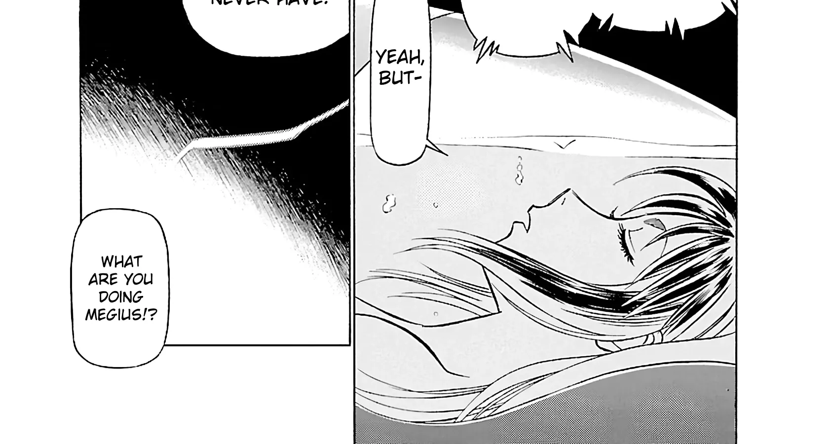 Tetsuwan Birdy Evolution Chapter 107 page 14 - 