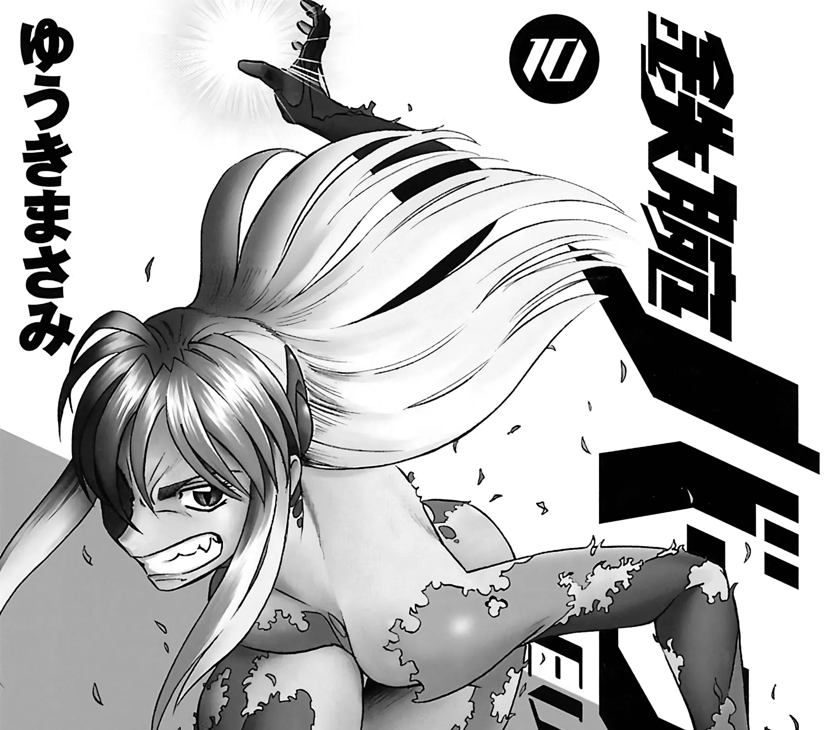 Tetsuwan Birdy Evolution Chapter 99 page 2 - 