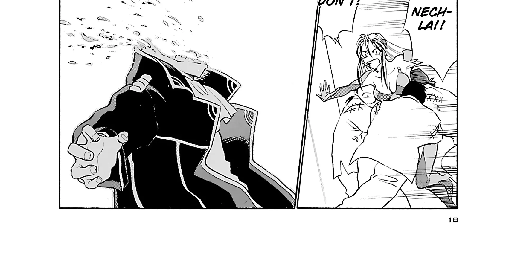 Tetsuwan Birdy Evolution Chapter 99 page 37 - 