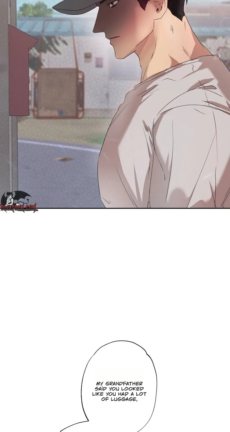 That Summer, Like a Wildflower Chapter 1 page 67 - 