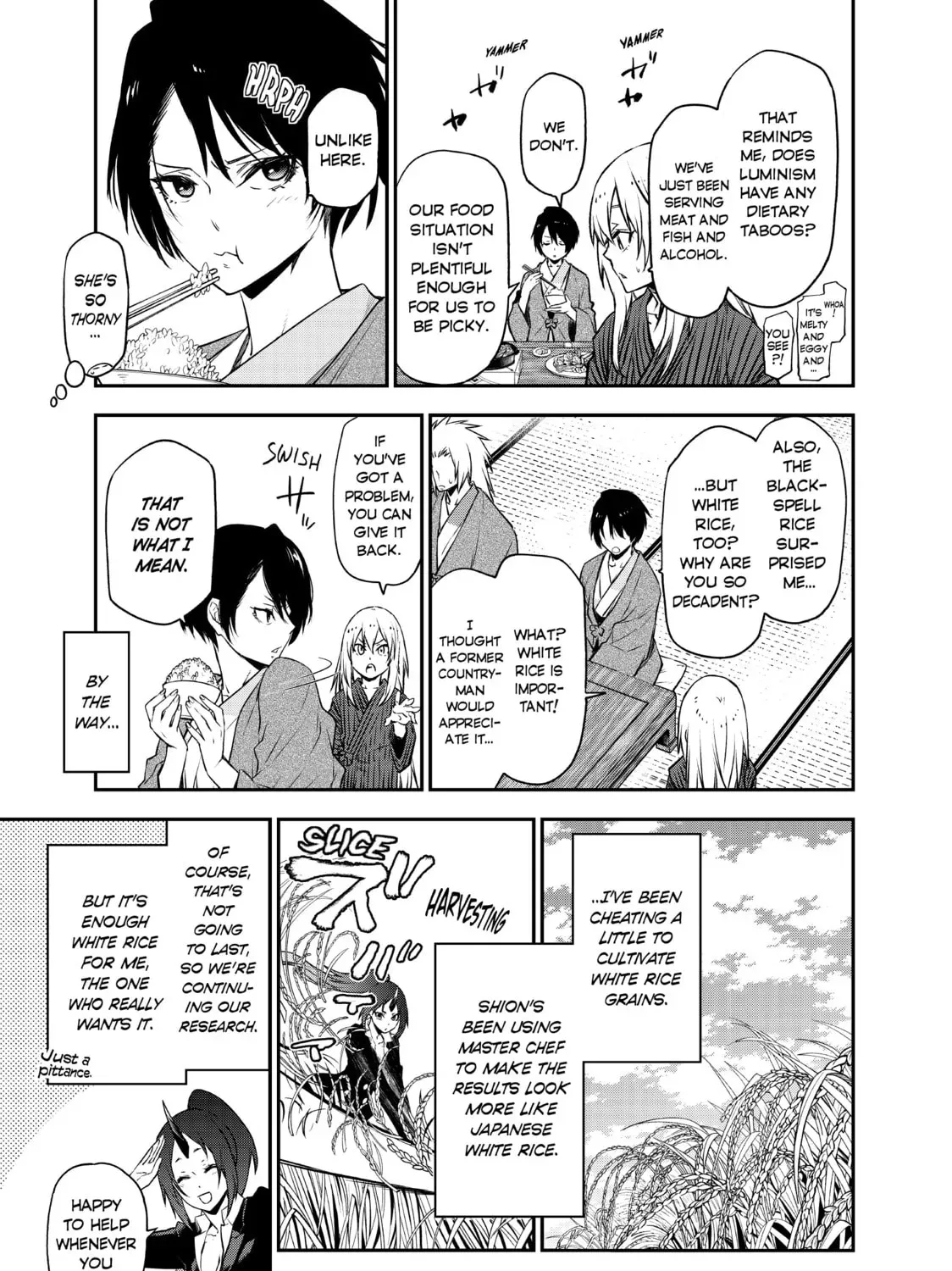 That Time I Got Reincarnated as a Slime Chapter 2.5 page 17 - 