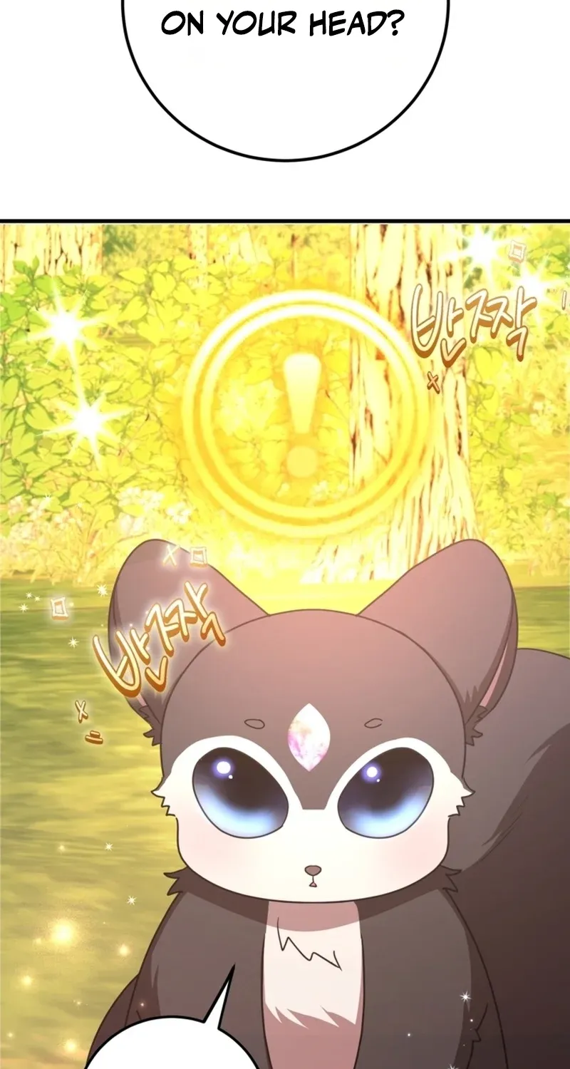 The 10-Star Player
