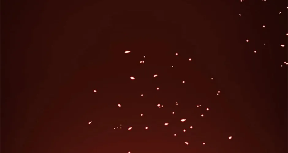 The 10-Star Player