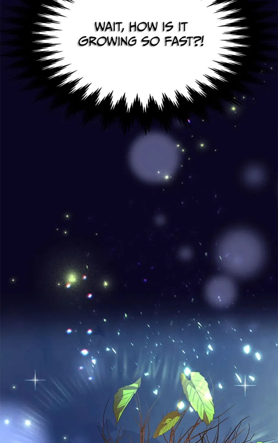 The 10-Star Player