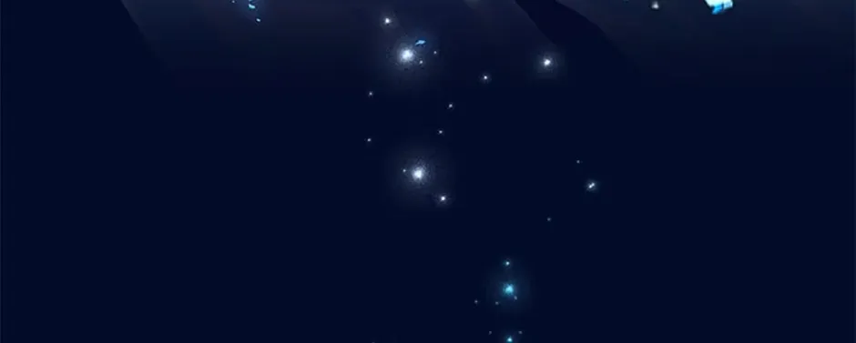 The 10-Star Player