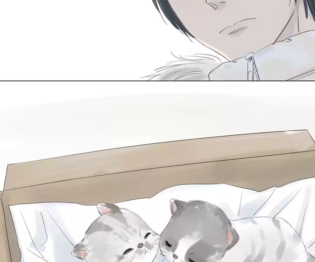 The 10 Years I loved you the most (Colored) Chapter 15 page 49 - 