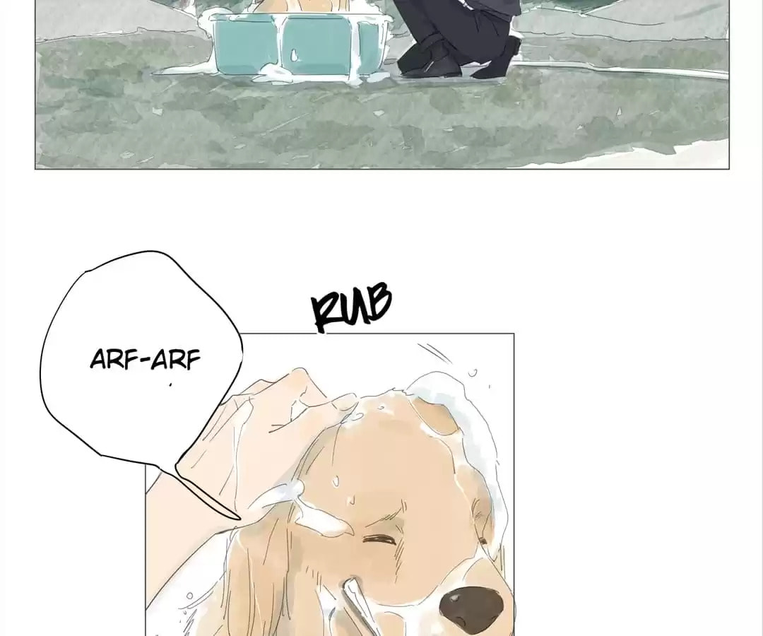 The 10 Years I loved you the most (Colored) Chapter 40 page 41 - 