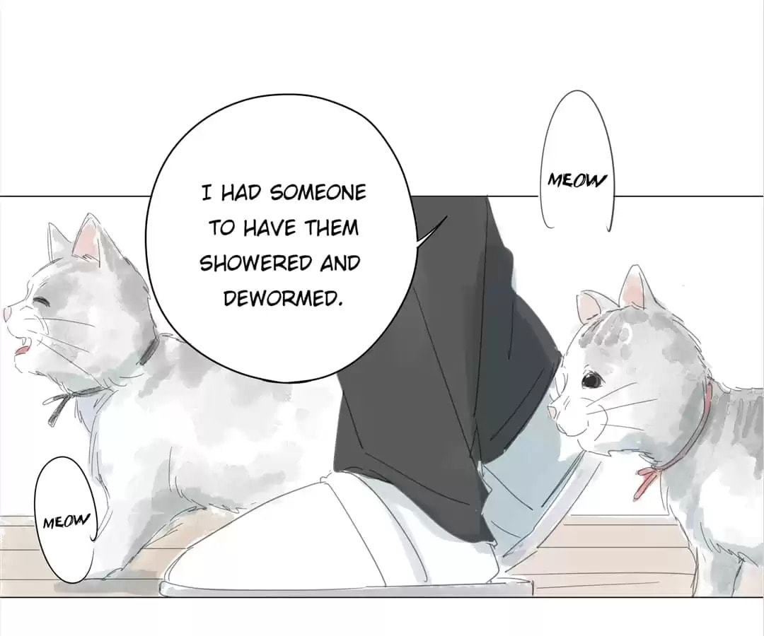 The 10 Years I loved you the most (Colored) Chapter 63 page 30 - 