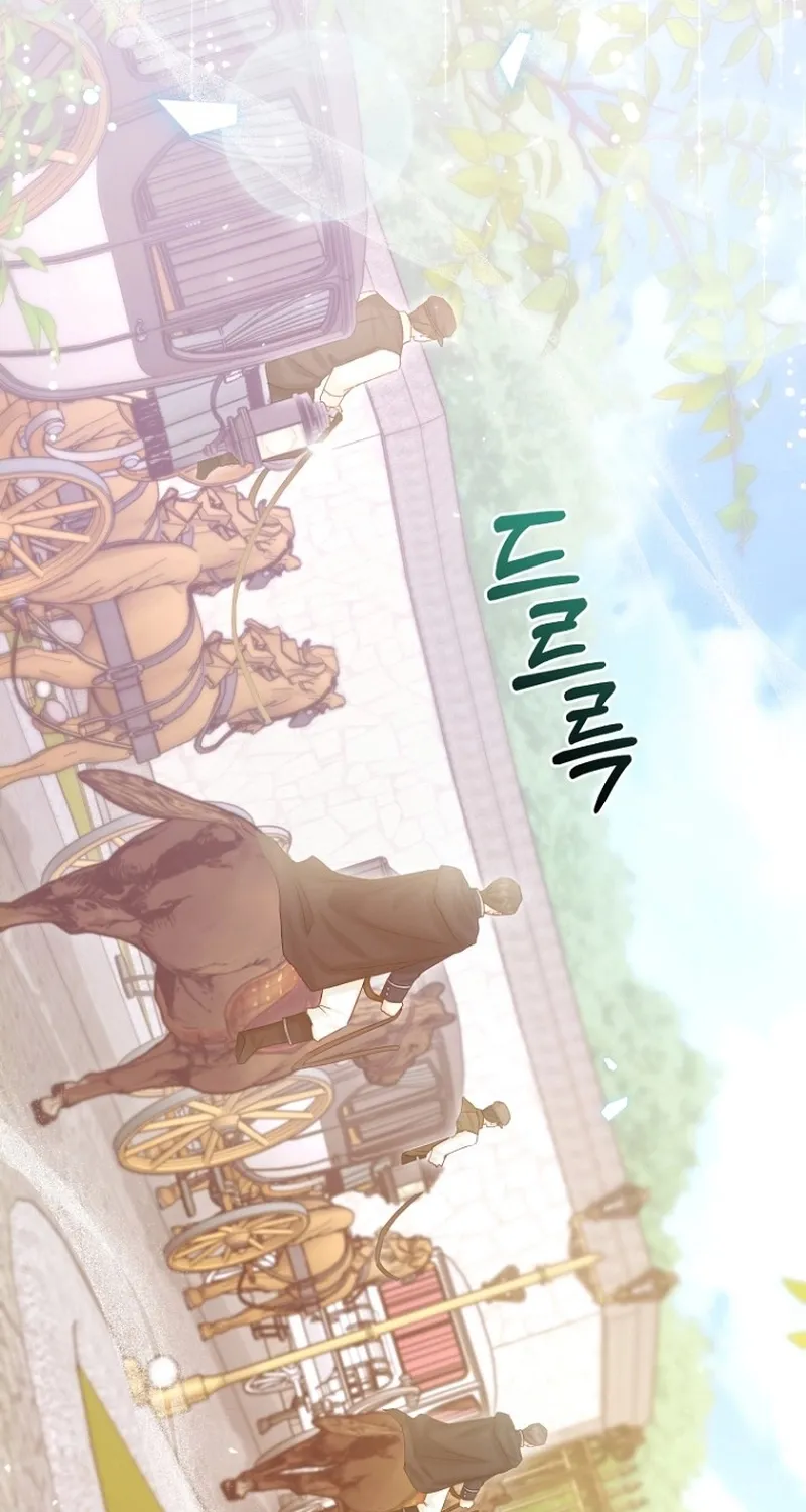 The 7th Marriage Is Planned Chapter 16 page 67 - 