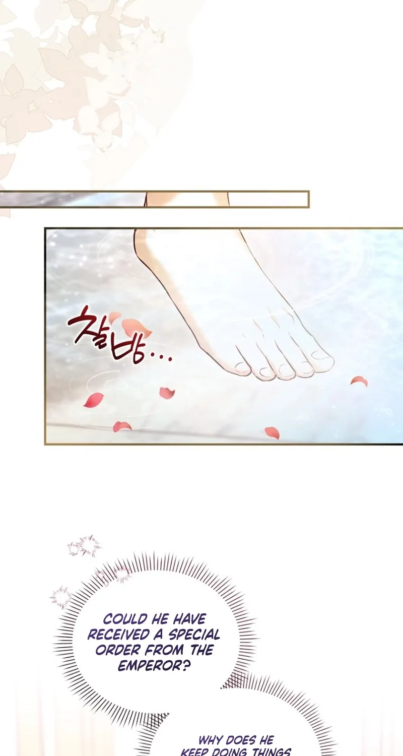 The 7th Marriage Is Planned Chapter 19 page 48 - 