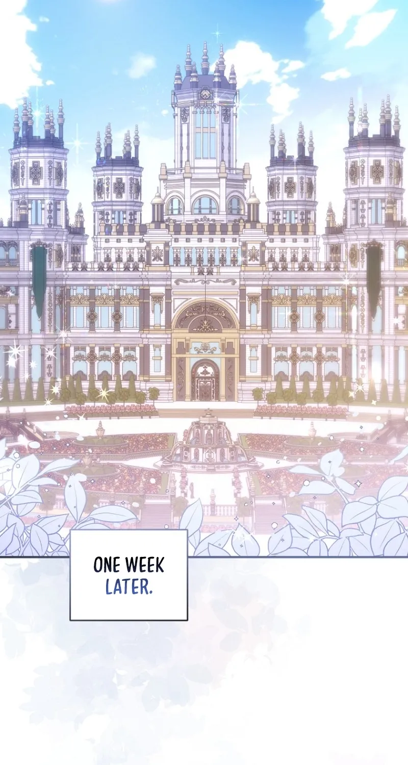 The 7th Marriage Is Planned Chapter 31 page 64 - 