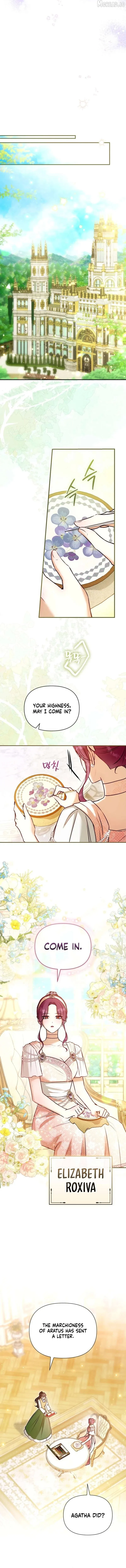 The 7th Marriage Is Planned Chapter 44 page 11 - 