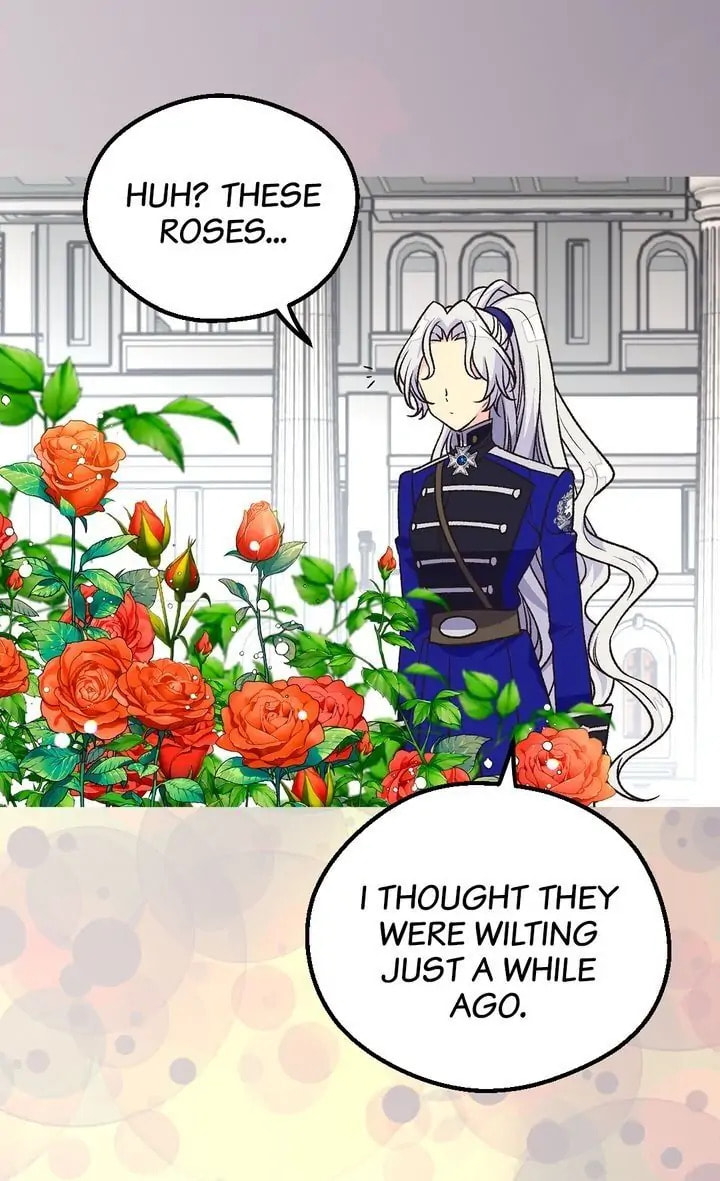 The Abandoned Empress Chapter 136 page 30 - 