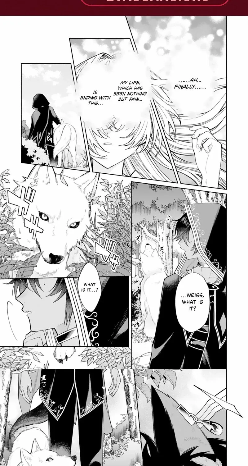The Abandoned Little Girl Was Actually the Strongest Saint Picked Up by a Fluffy Family and Pampered Chapter 1.1 page 2 - 