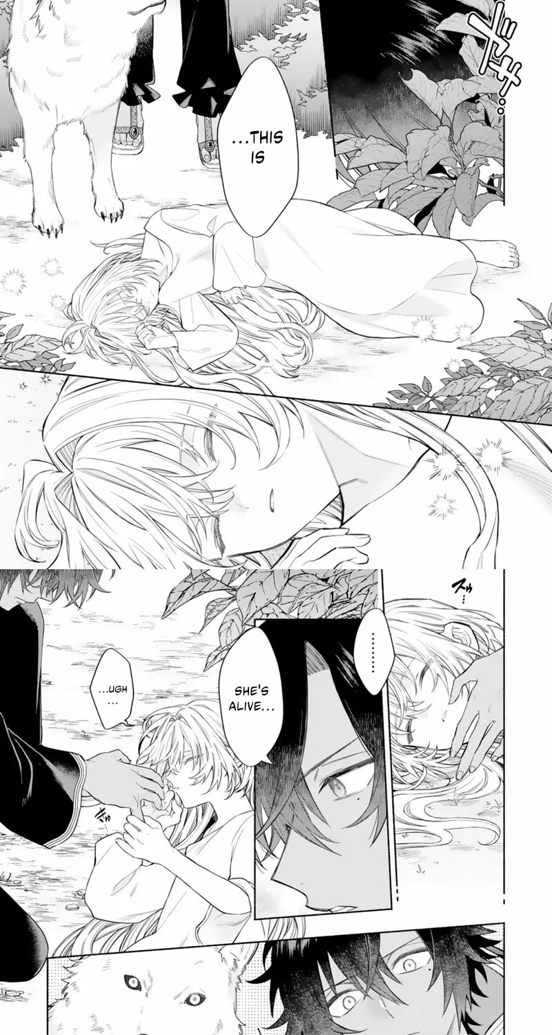 The Abandoned Little Girl Was Actually the Strongest Saint Picked Up by a Fluffy Family and Pampered Chapter 1.1 page 3 - 