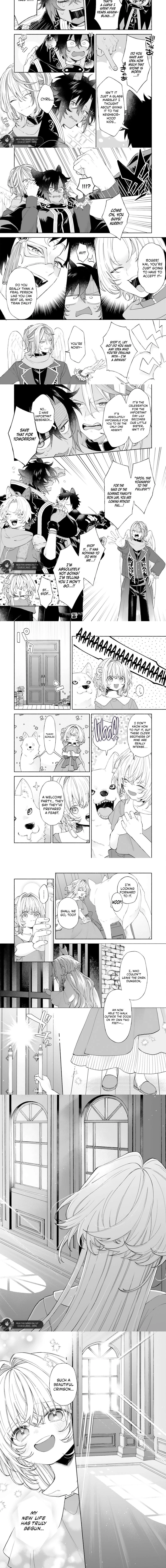 The Abandoned Little Girl Was Actually the Strongest Saint Picked Up by a Fluffy Family and Pampered Chapter 6.1 page 3 - 